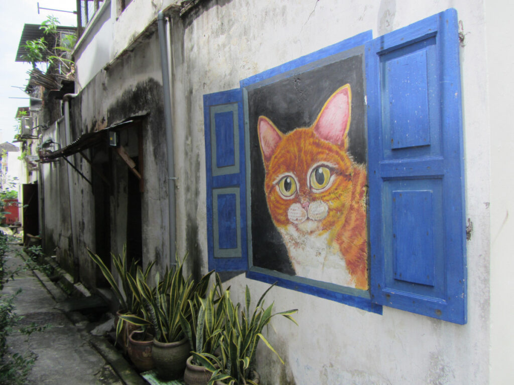 window cat, Murales Georgetown